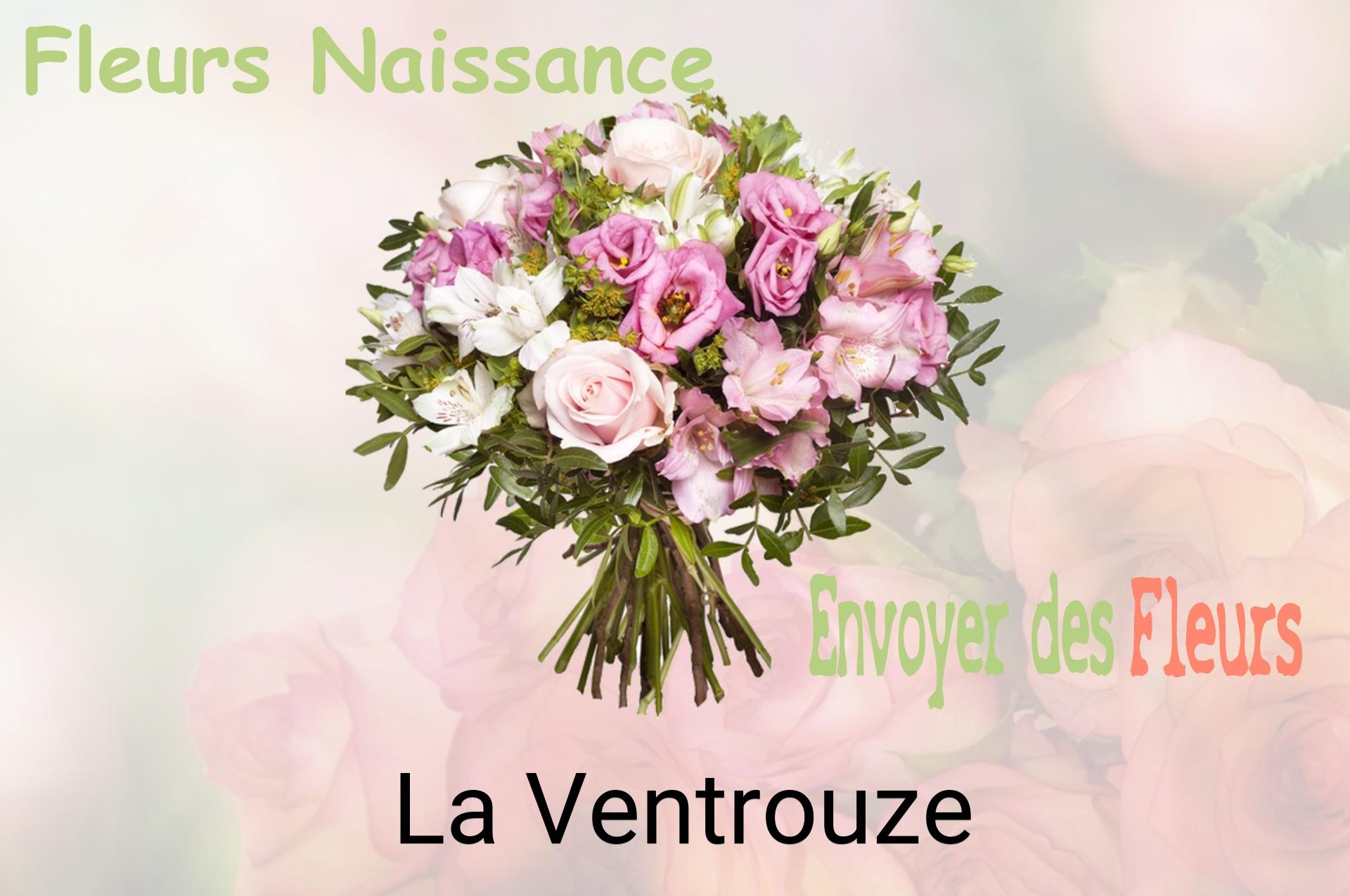 Bouquet de fleurs de naissance livré à La Ventrouze